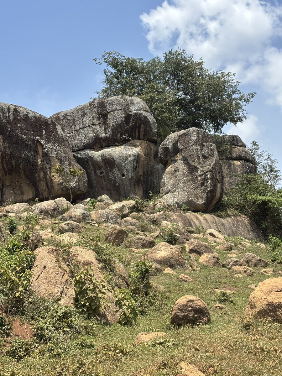 Counsel MwijukyeIvan⚖ tweet media