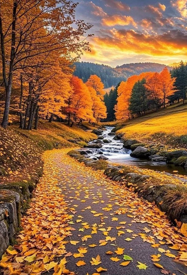 EarthGlory56's tweet image. 