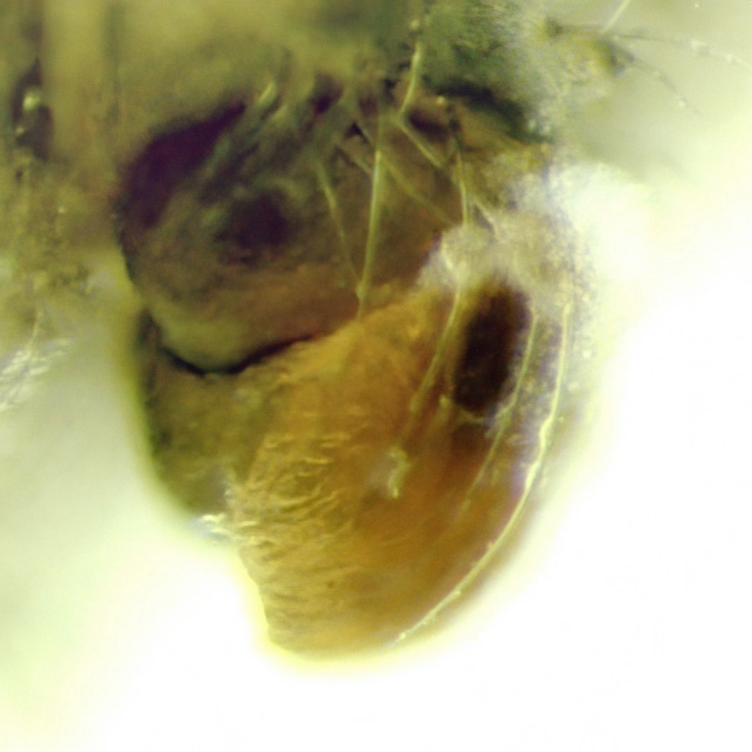 monday_spider tweet media