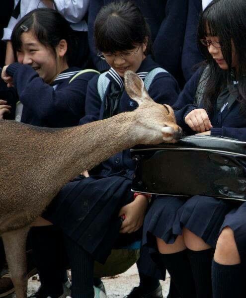 Explorer Of Moments tweet media