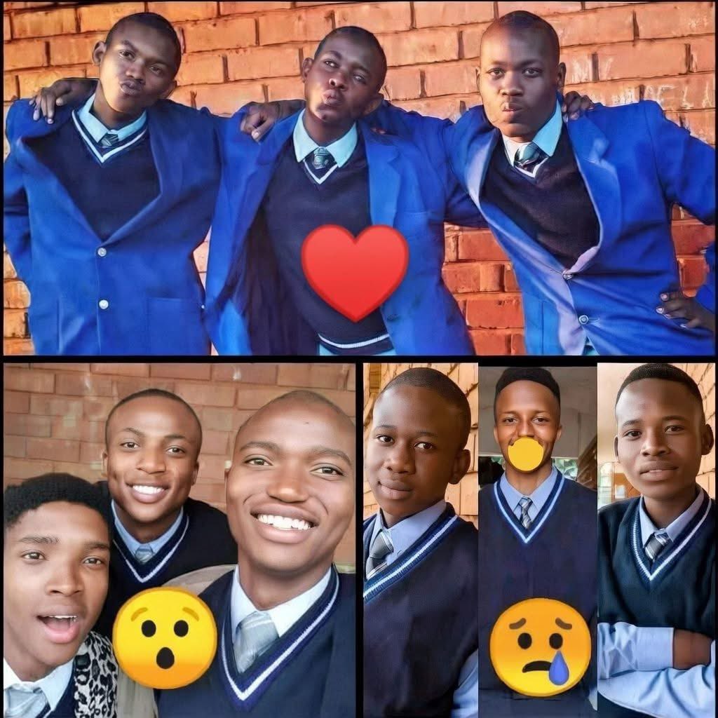 Blackbone🧡💙💚 tweet media