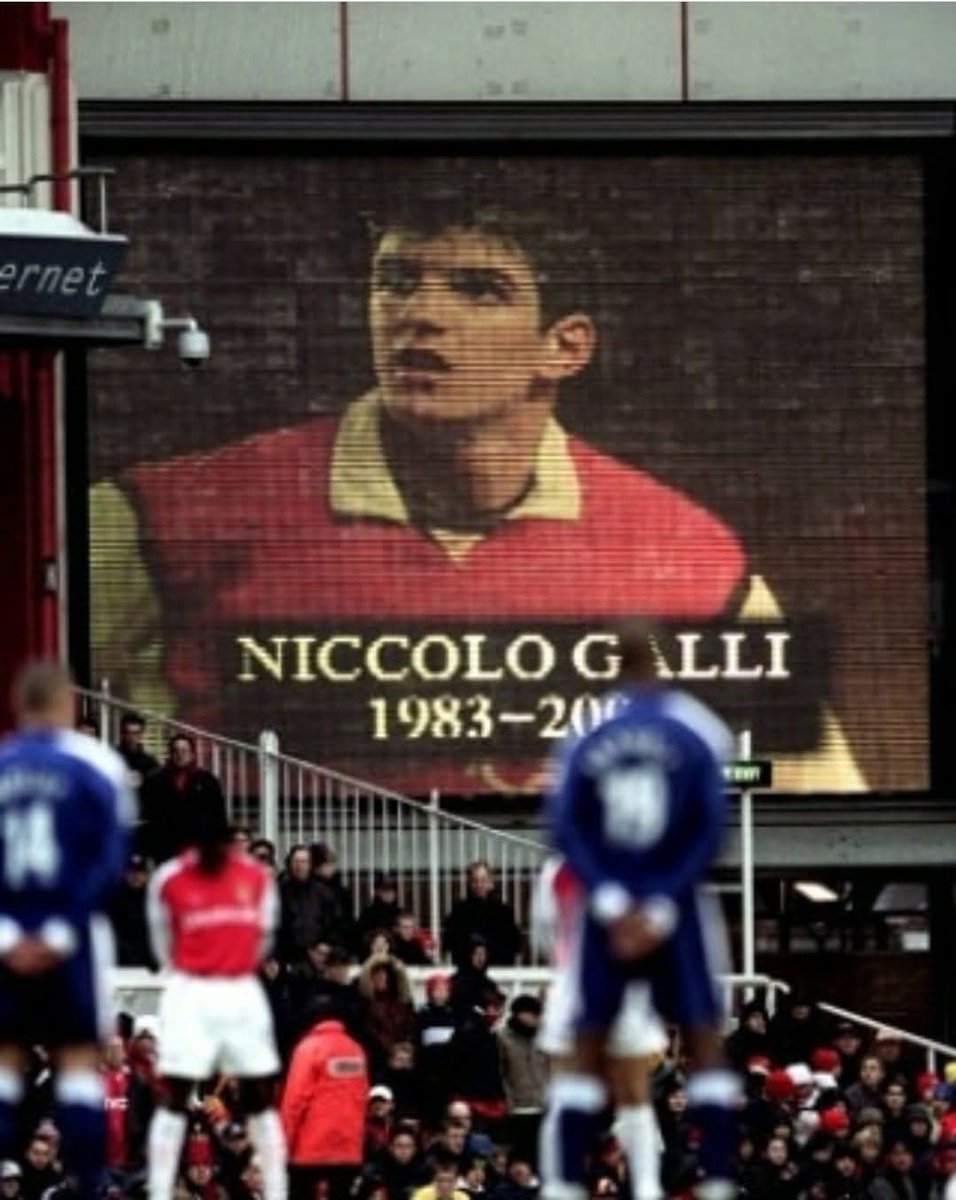 Matteo Scarpellini tweet media