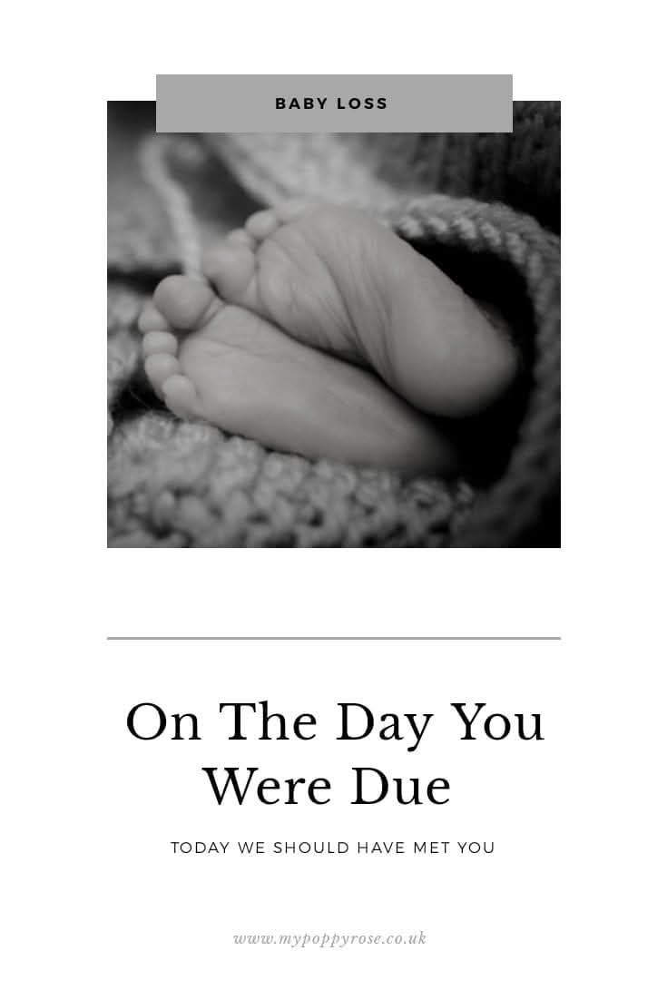 My Poppy Rose tweet media