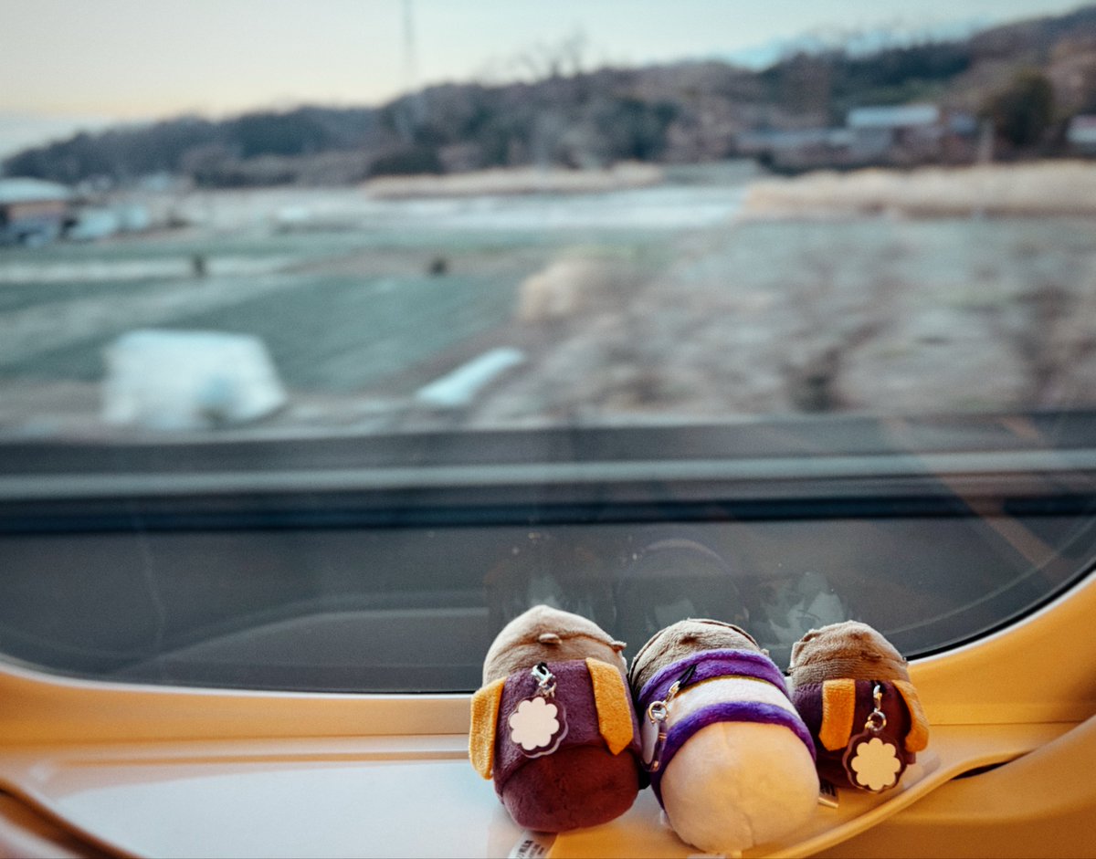 #あなたのTLをおもちがそっと通ります