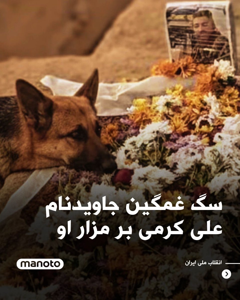 اتاق خبر منوتو tweet media