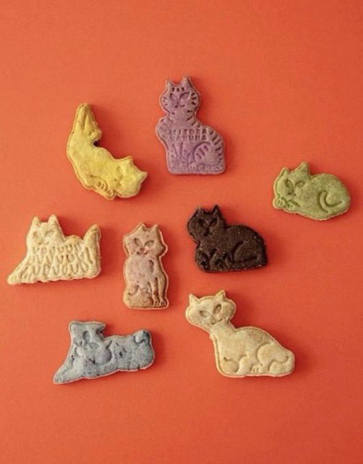 heart_jpg's tweet photo. cat cookies https://t.co/WLXrNkG7Ou