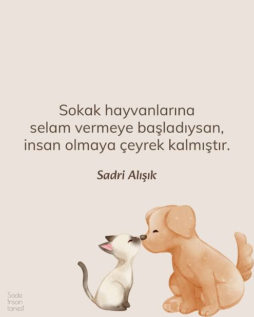 "Sokak Hayvanlarına 

Selam Vermeye Başladıysan;

İnsan Olmaya Çeyrek Kalmıştır."

🍀Günaydın Yaşamak🍀

#HayvanlarYaşamakİstiyor 
#HayvanlarİçinAdalet
#SokaklarTümCanların