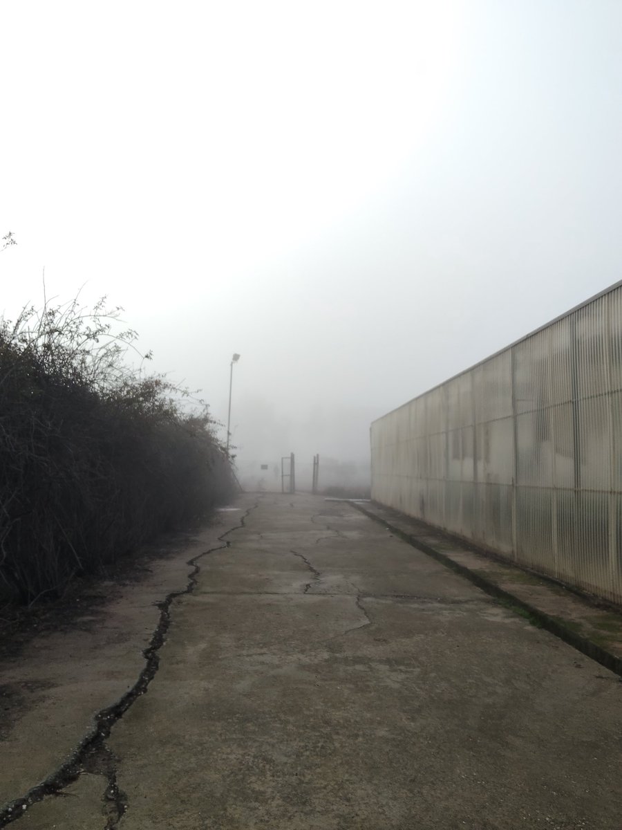 In my restless dream I see that town. Silent Hill.