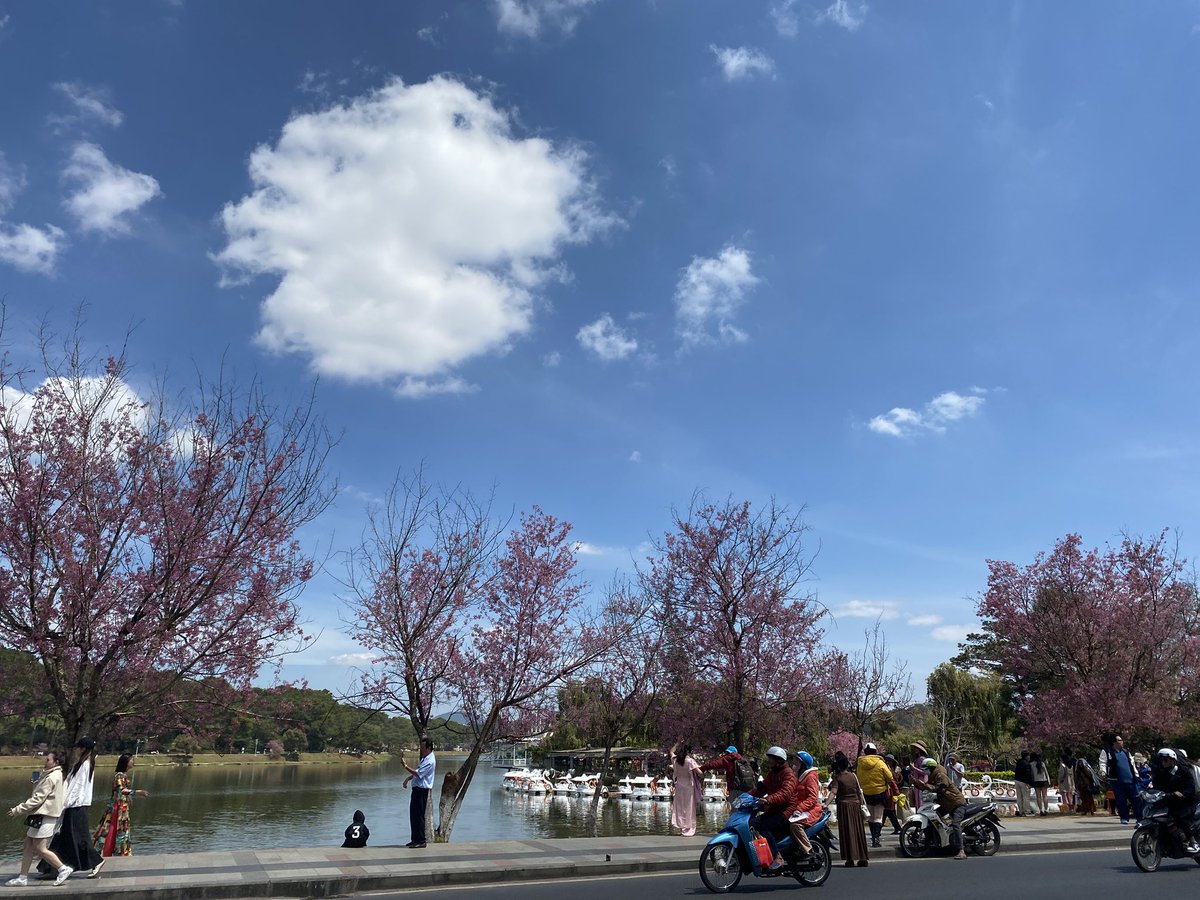 AlphaRise tweet media