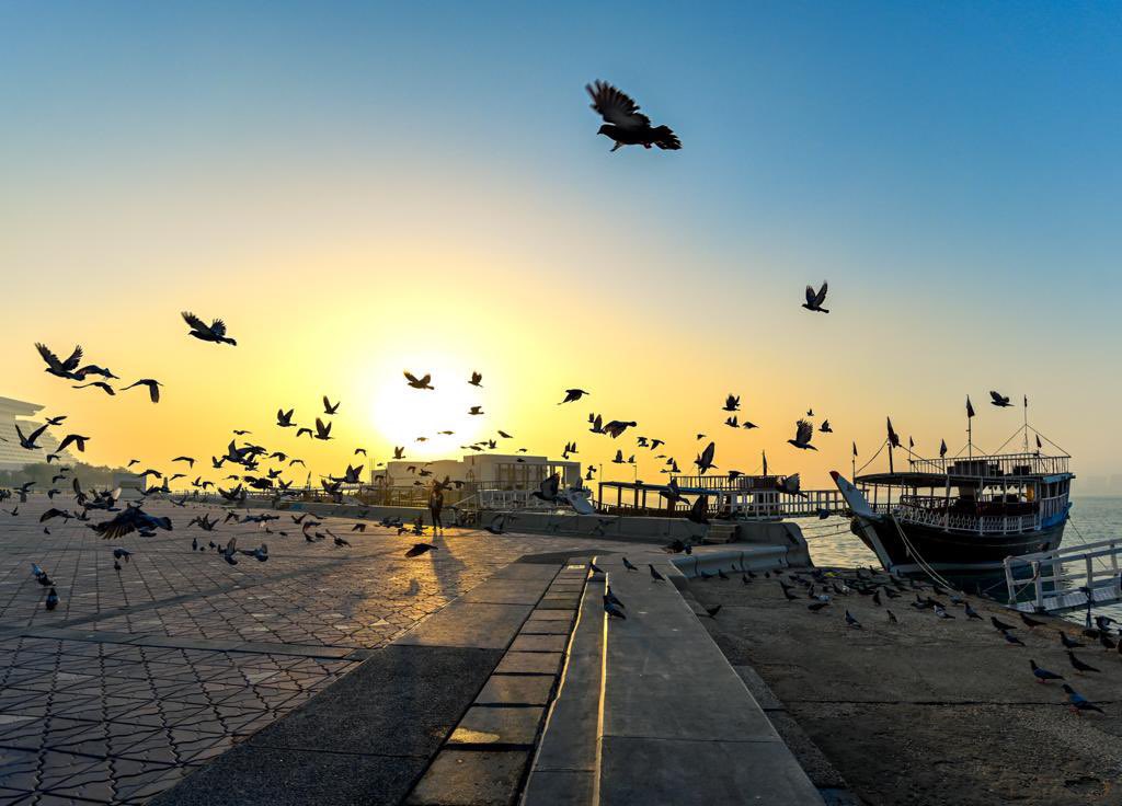 qatarweather's tweet image. صباح الخير 
ضباب خفيف إلى ضباب، معتدل الحرارة نهاراً مع بعض السحب، بارد نسبياً وغبار عالق إلى ضباب خفيف ليلاً. الرياح شمالية غربية - شمالية شرقية خفيفة إلى معتدلة السرعة.
#قطر