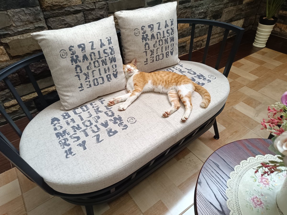 tomocatt_'s tweet photo. みてごらん
我が家に完全に住み着いたお隣の🐱さん https://t.co/XLAqpWKQNF