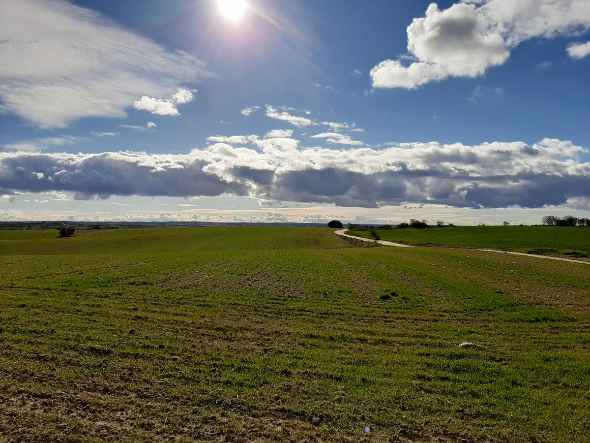 Quizás el problema está en que  buscamos finales felices, en lugar de caminos felices!
Disfruta cada momento que la vida te regala!
#FelizLunes
#FelizSemana