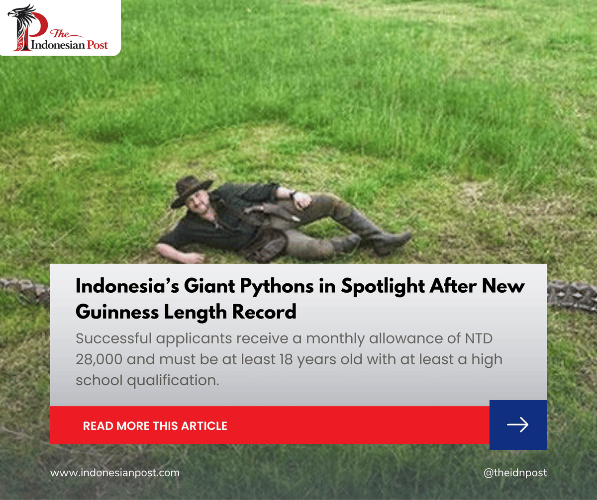 theidnpost's tweet photo. Indonesia’s Giant Pythons in Spotlight After New Guinness Length Record

https://t.co/u2MAUnlcsq

#giantpython
#reticulatedpython
#Malayopythonreticulatus
#GuinnessWorldRecords
#rainforestbiodiversity
#herpetologytourism
#IndonesiaNews #IndonesianPost #IndonesiaUpdate https://t.co/Jxb9NJEY54