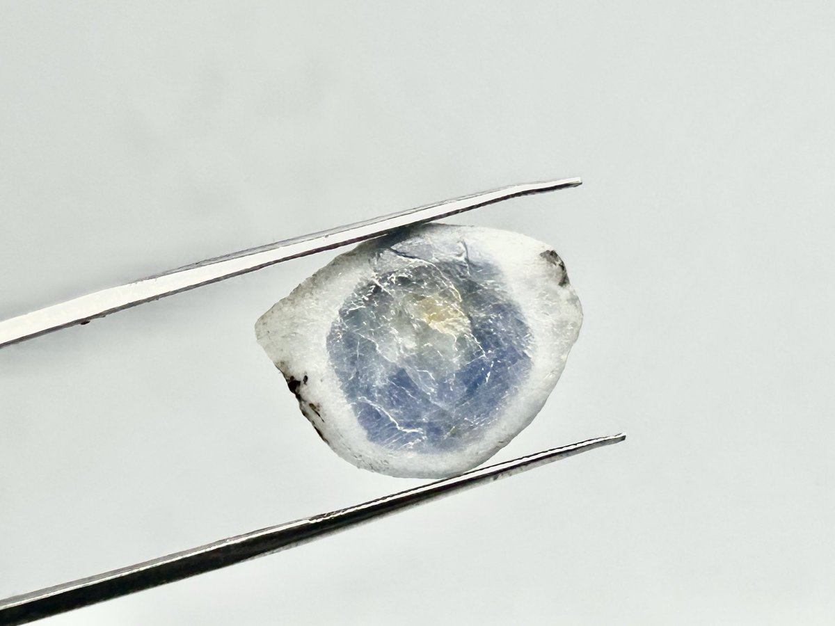 コタニジュエル 米国宝石学会宝石学修了士 GIA.GG 京都検定二級 宅建士