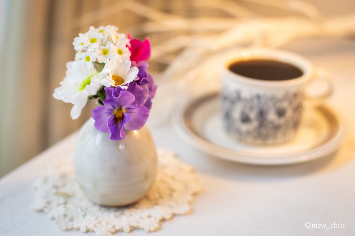 mew_chibi's tweet image. 冬の中で春を想いながら💐

VIE DE FRANCE
シナモンデニッシュ

ぽかぽかのコーヒーと庭のお花たち
北欧のうつわたち☕️💭
溶けゆく雪に春を想う冬の日❄️

＊海ノ向こうコーヒー/Chocolat Blend

#キリトリセカイ #ファインダー越しの私の世界ᅠ #茶好連 #木漏れ日のお茶会 #日常