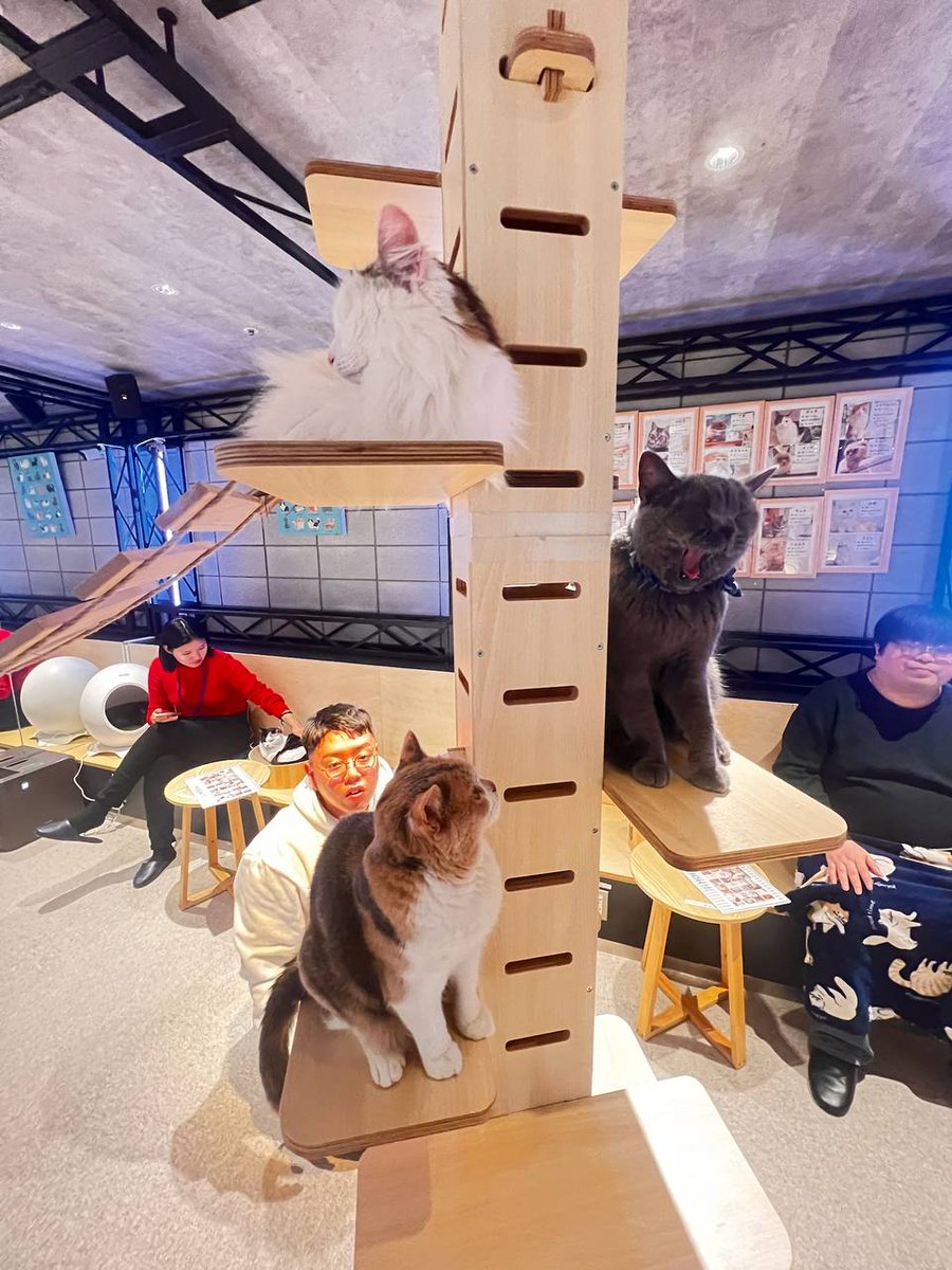 Emperor.SOL tweet media