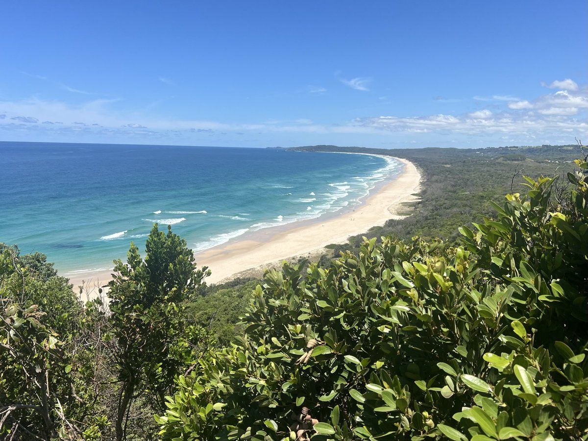 Bob Carr tweet media