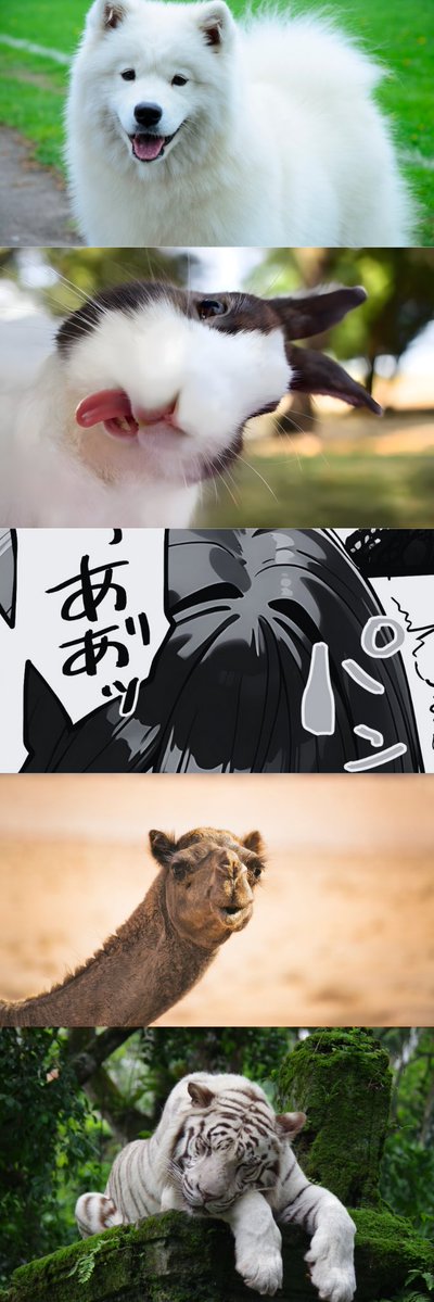 miocomralog1973's tweet image. 騙された新入社員　(1/9)