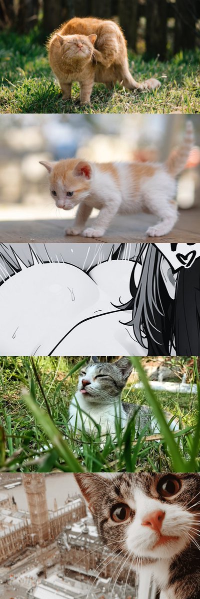 miocomralog1973's tweet image. 騙された新入社員　(1/9)