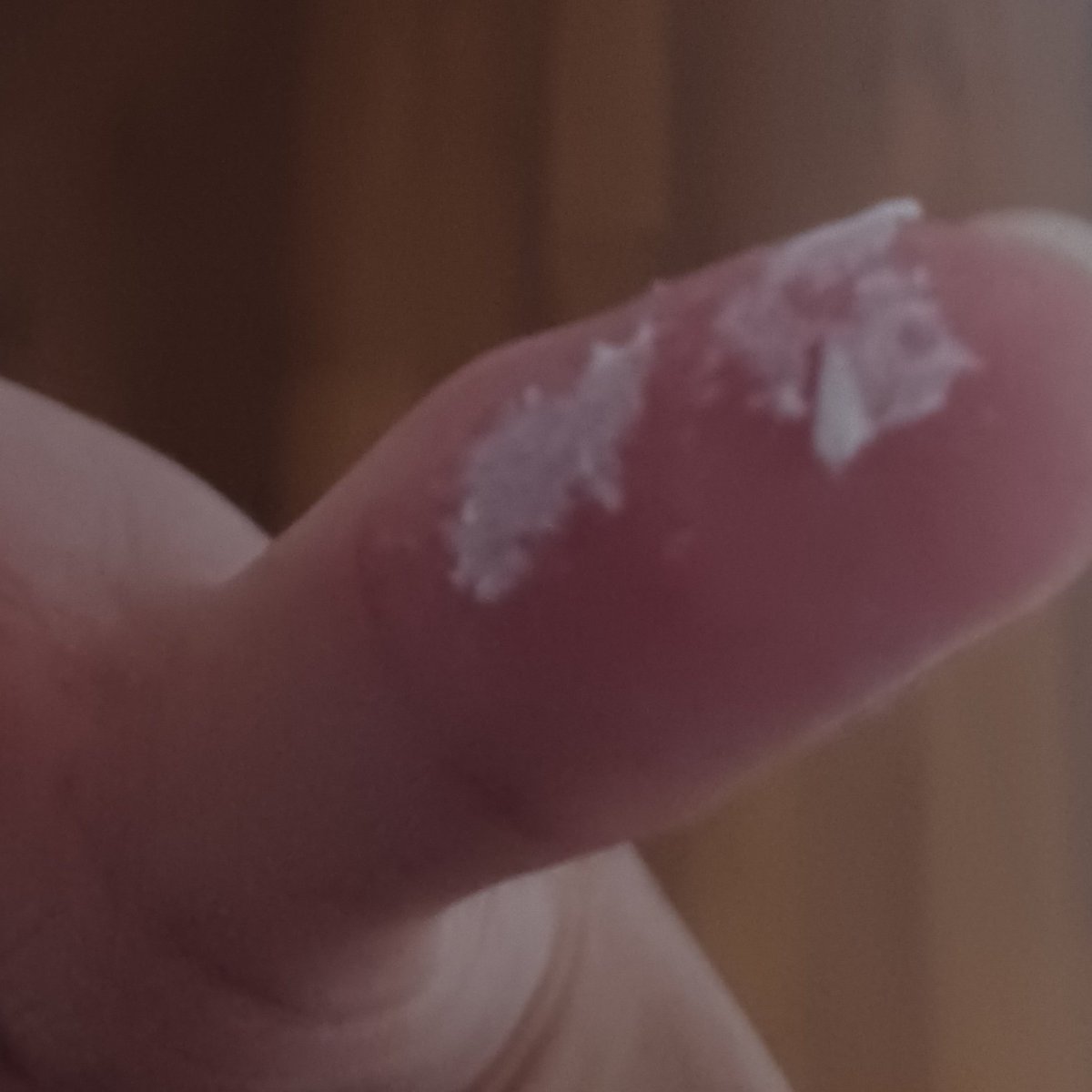 りくぜん tweet media