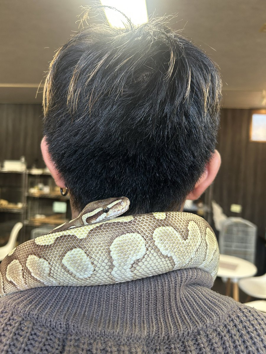 2025.12.6 エキゾチックアニマルカフェRicky新潟店さんに行った。ここ