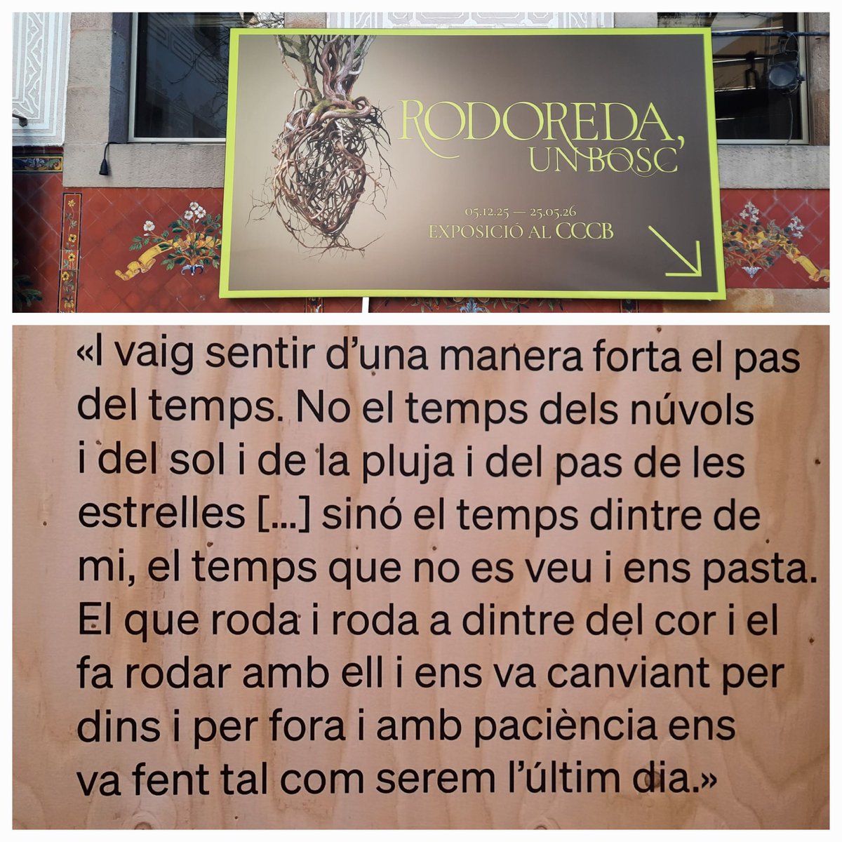 sasaleejones's tweet photo. Espectacular!
#Rodoredacccb
@RodoredaMerce https://t.co/qTE5cCBBOm