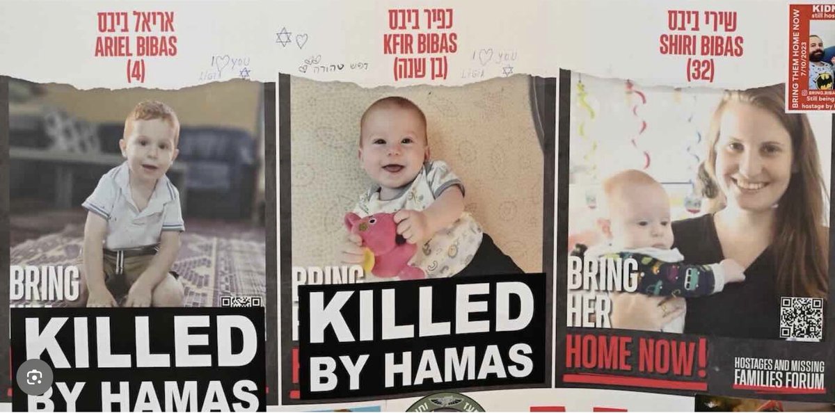 massimo donelli tweet media