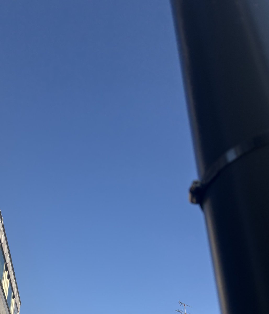 다나에 (@danae_0426) on Twitter photo 