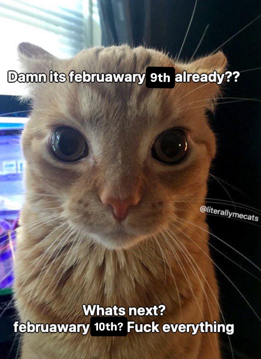 literallymecats's tweet photo. https://t.co/0GV7kUjSBU