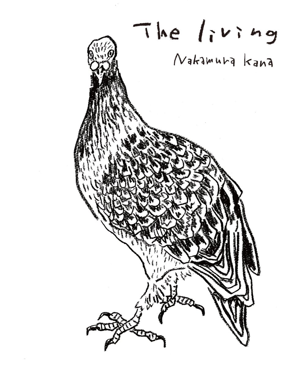 中村雅奈（中村一般）ｺﾐﾃｨｱD01a (@nakamuraippan) / Posts / X