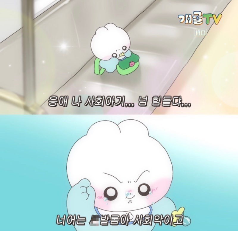 배둘기철씨 tweet media
