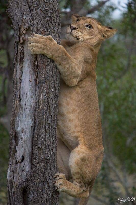 vivaneil (@vivaneil1234) on Twitter photo 