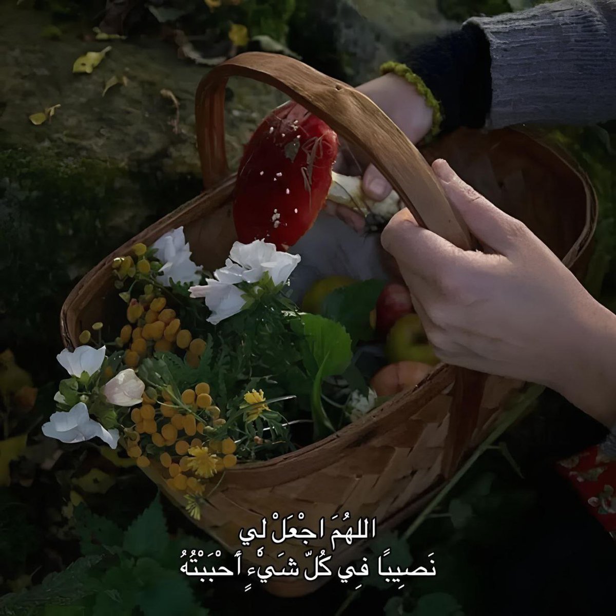 ،🍪♡.❥ tweet media