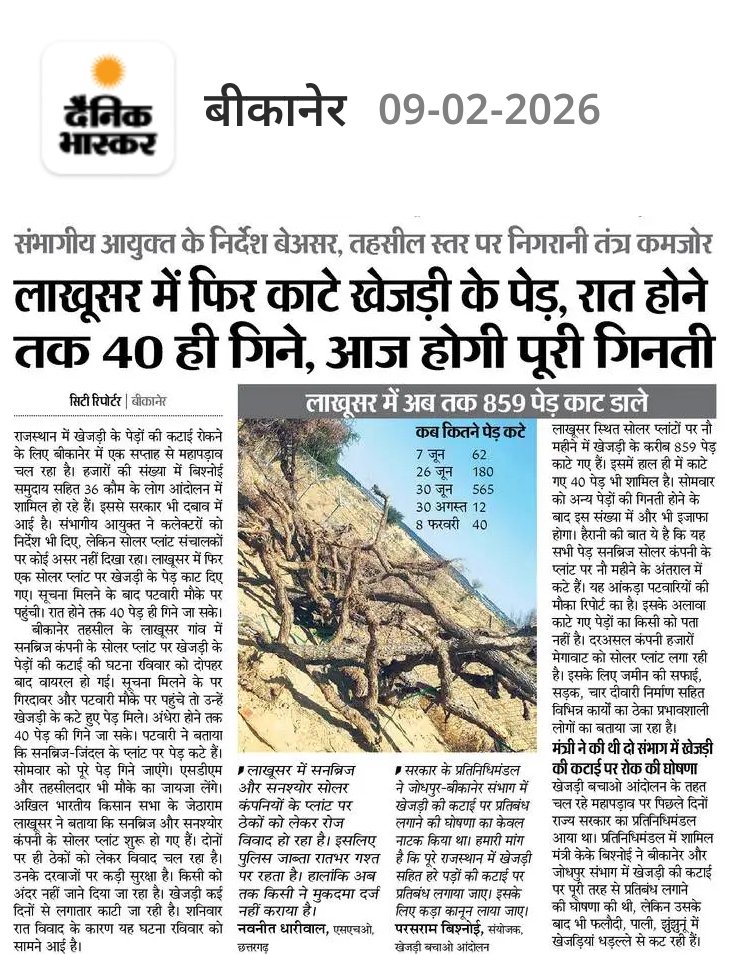 बीकानेर प्रशासन क्या रोक पाएगा खेजड़ी की कटाई...? #खेजड़ी_बचाओ_आंदोलन <a href="/RajGovOfficial/">Government of Rajasthan</a> <a href="/RavindraBhati__/">Ravindra Singh Bhati</a>