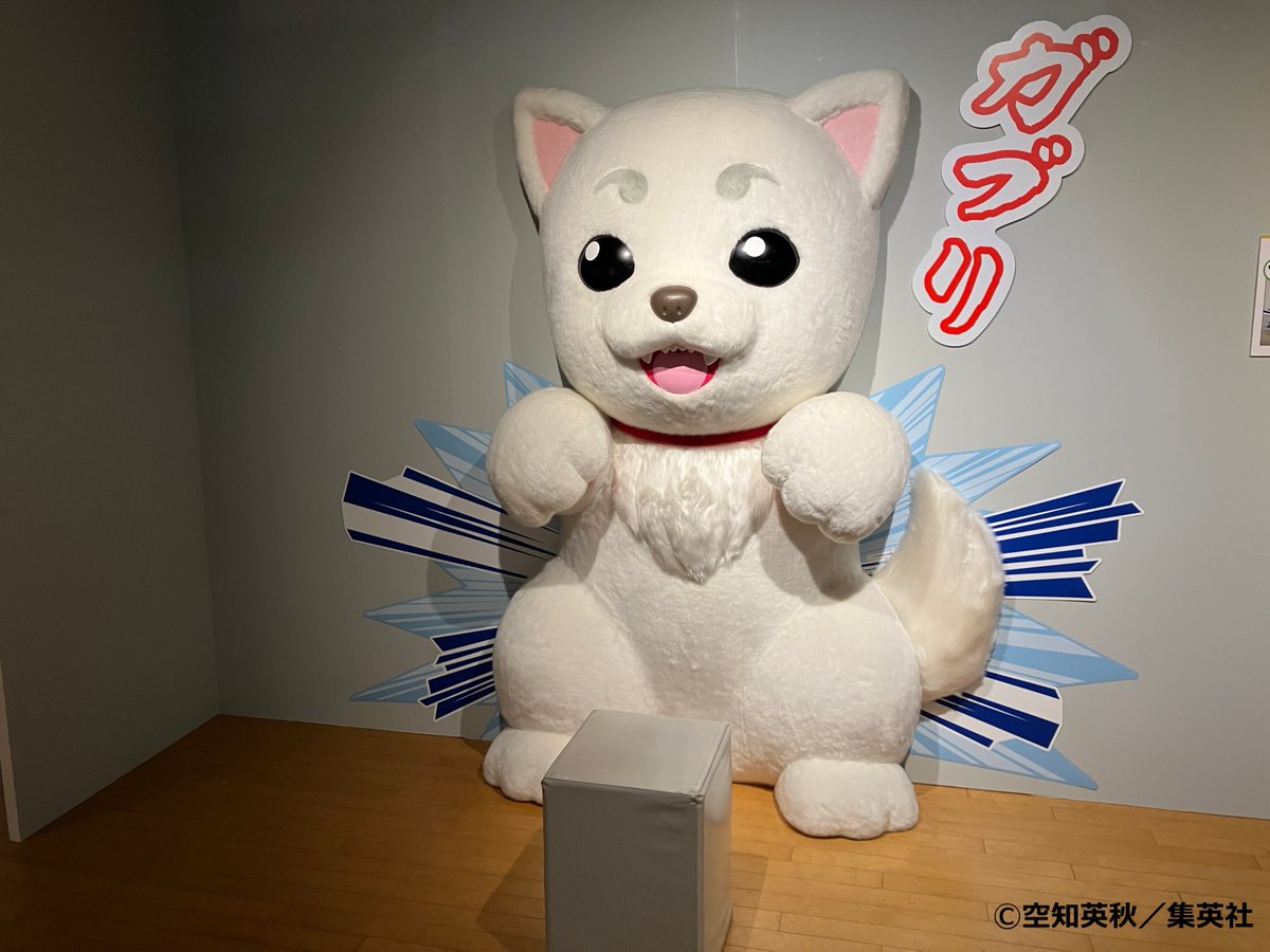 生誕20周年記念 銀魂展 〜はたちのつどい〜【公式】 (@gintama20th_ten