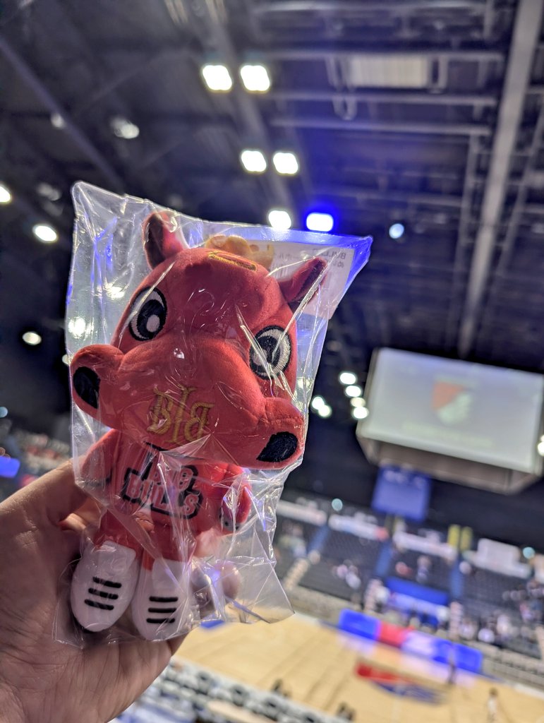 ピー助 (@qUECN6D7R3gPTBD) / Posts / X