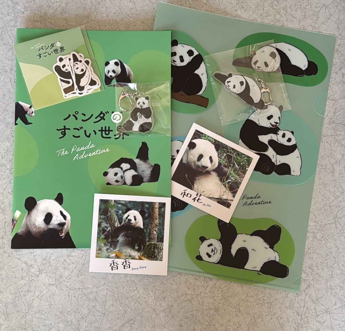 RT @Rc1j7w7VQNPRl7Q: パンダのすごい世界を観ました🐼 すなやますなこ