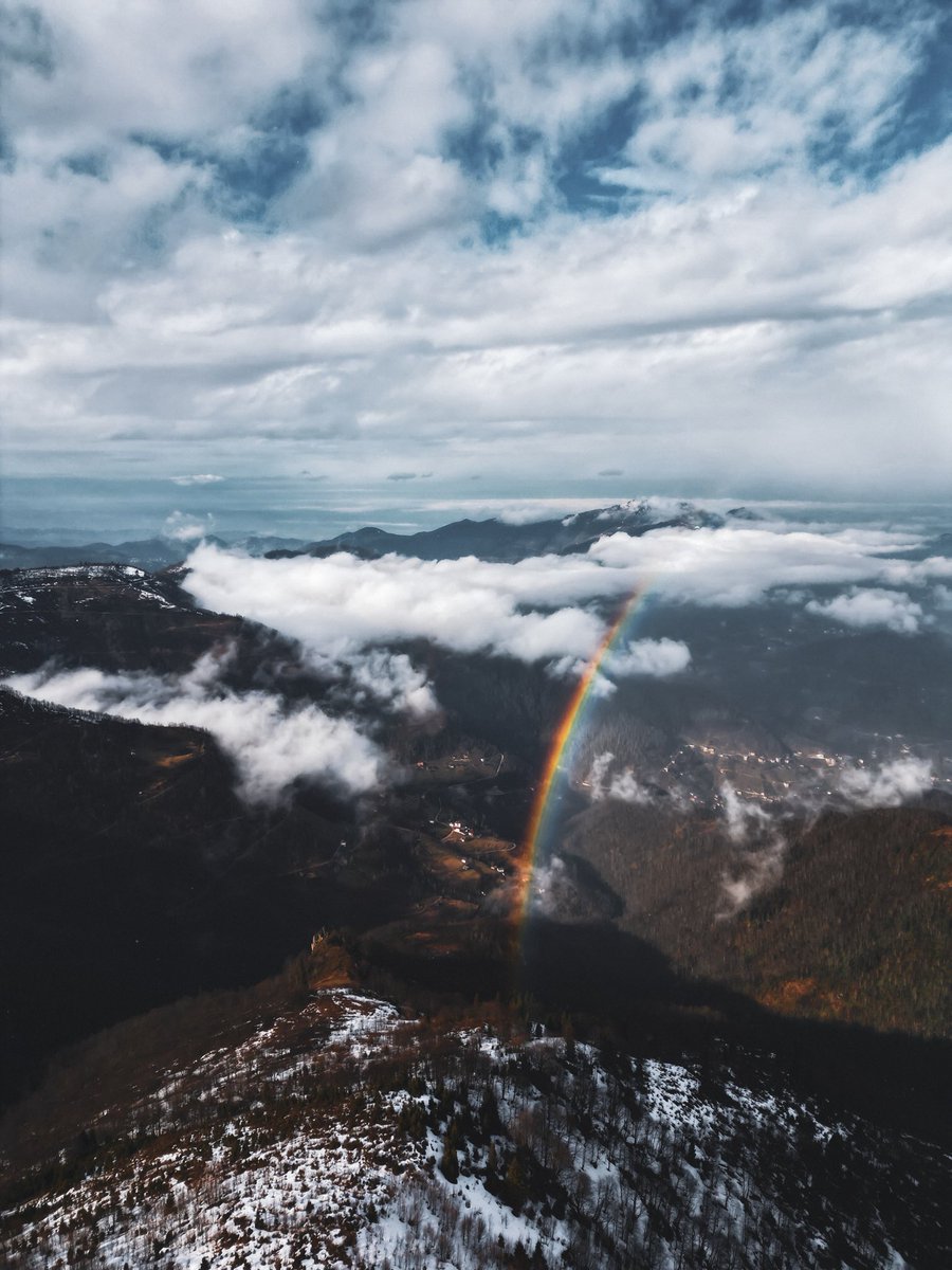 halil nuroğlu🌲 tweet media