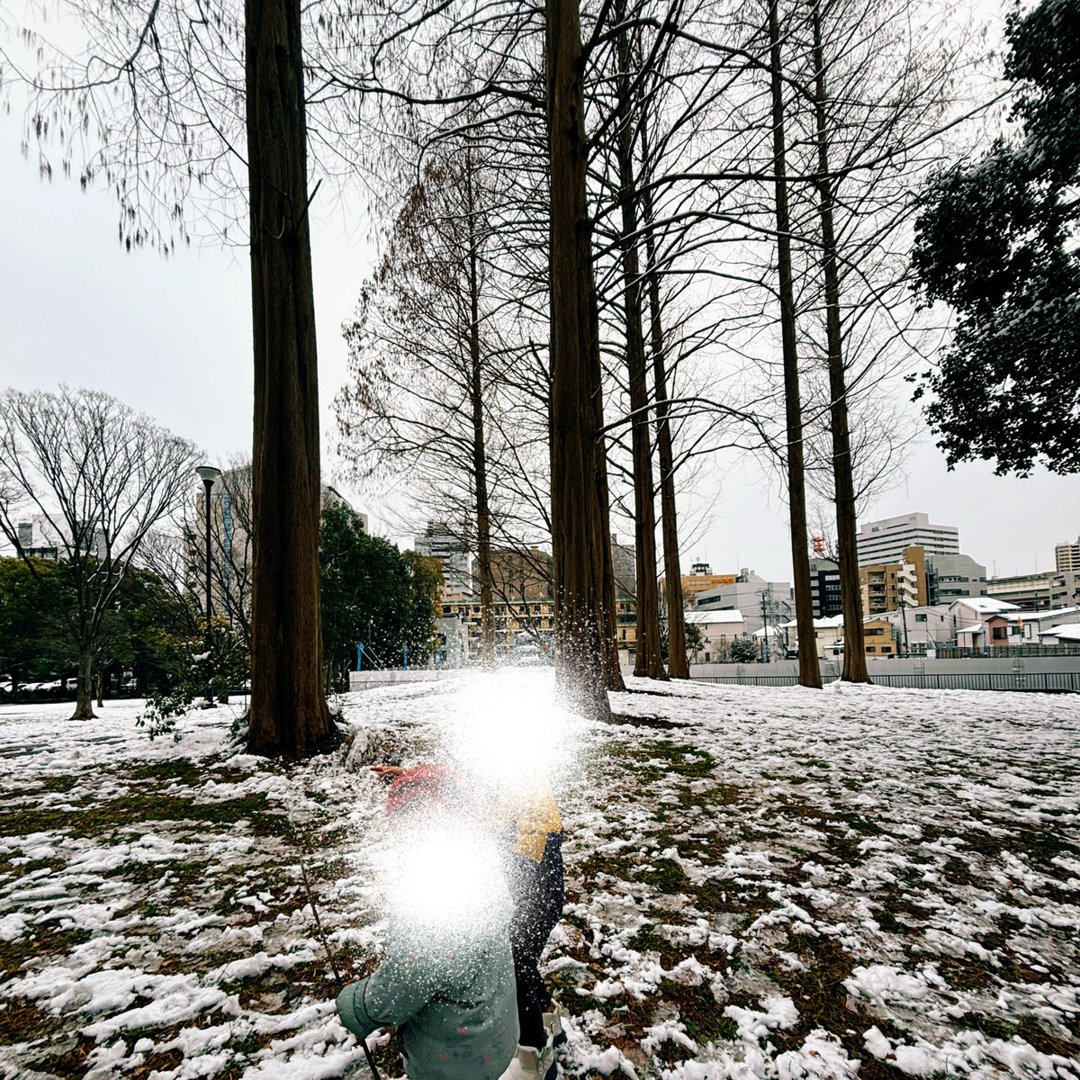 yoi_no_myozyo's tweet photo. 初オフラインPD・雪の中で「Observe & Collect」したよ〜🔍🌿❄️
・雪が積もった“いつもと違う自然”を観察
・傘をさして"snowing"ごっこをしたり
・もちろんsnowball fightも😁
つたないながら作ったワークシート冊子も、良い振り返り材料になったよ🫶✨

もともと共通して「外遊びだいすき！」なこども達だから、今回のPDでは “観察して、気づいて、言葉にする” をしたいなと密かに思っていたんだけど、
まさかのこどもたち(と恐竜ママちゃん)のガッツで、公園に行けた！

雪で大きく予定が変わったことも全部ふきとぶくらい楽しくて、気づいたらお昼前から夜ご飯ギリギリまでずっと遊んでた。
対面PDだからこ��生まれる瞬間もいっぱいあって、経験としてとても豊かだったな✨

もちろん日本語も混ざるし、完璧な英語ではないけれど、今のこどもができる最大のアウトプットがぜんぶ出ていたと思う。
自分の“好き”を英語で聞いてもらえたこと、相手の“好き”も英語で知れたこと、その嬉しさが顔を見ればよく分かる。
宇宙の話を英語で聞けたの、私も本当に楽しかった…！🪐🚀

家へ帰ってきてからも、雪玉を作って投げ続けてた…⛄️笑
親以外で英語を話すお友達の存在って、本当に大きい。
恐竜ママちゃん(@tomy_mama_)、誘ってくれて本当にありがとう〜☺️