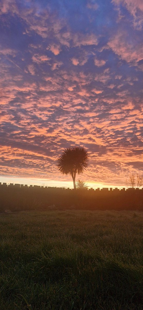 Miss Moneypenny tweet media