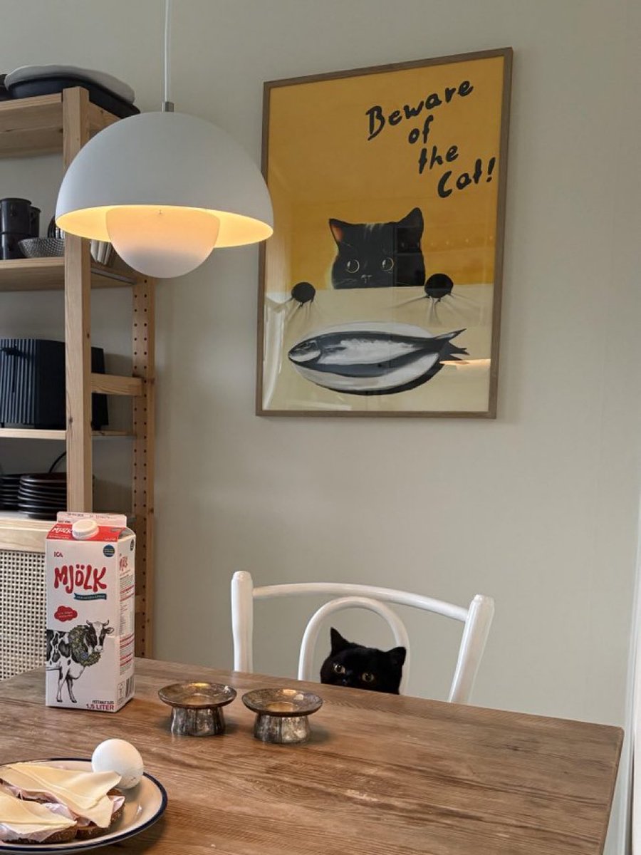 contents that ll heal your depression 🌻 (@catshealdeprsn) on Twitter photo 