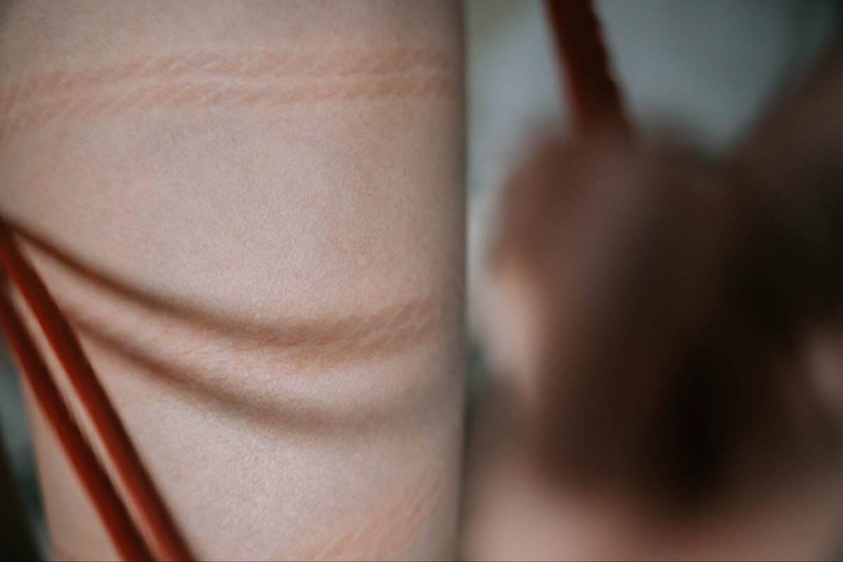 小木头 tweet media