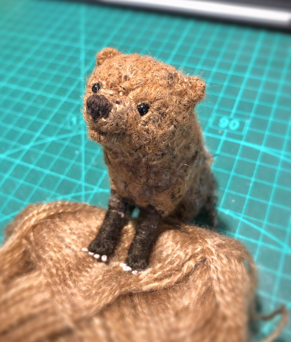 気づけば久しぶりになってしまいました🐾