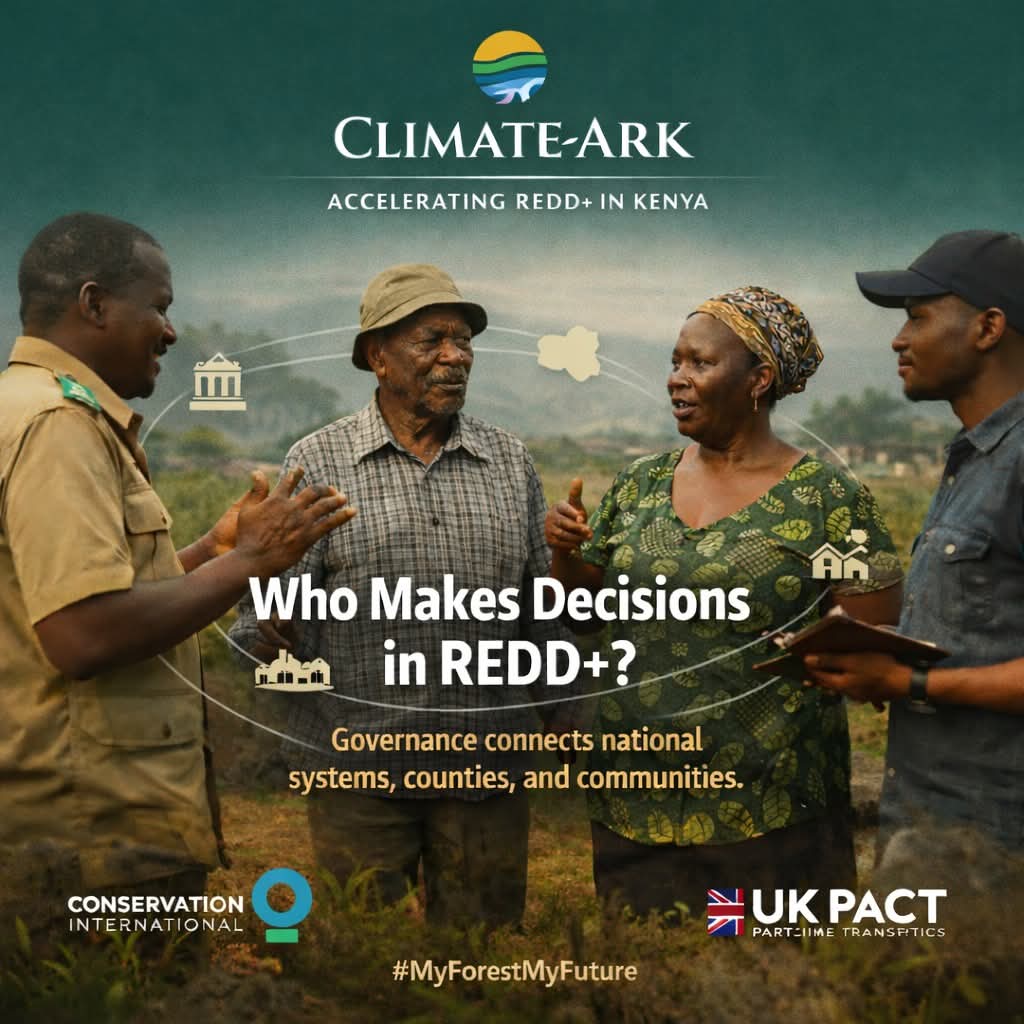 Climate Ark tweet media