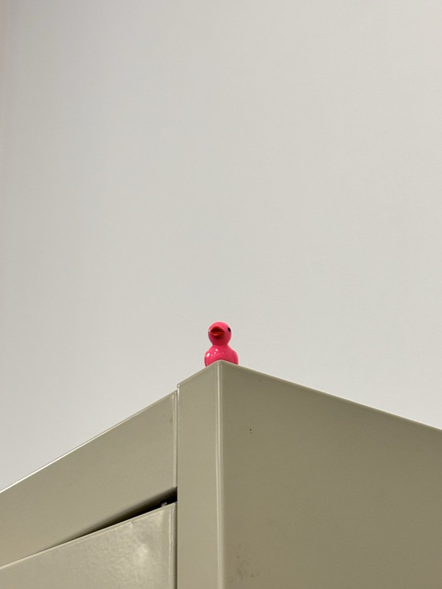 🩷🐥
<a href="/jabriya_ducks/">HSC ducks</a>