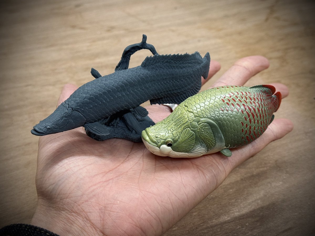 WF戦利品 ピラルクーたち 蟹蟲さん@731mm88 動物の惑星 @animal2023jp