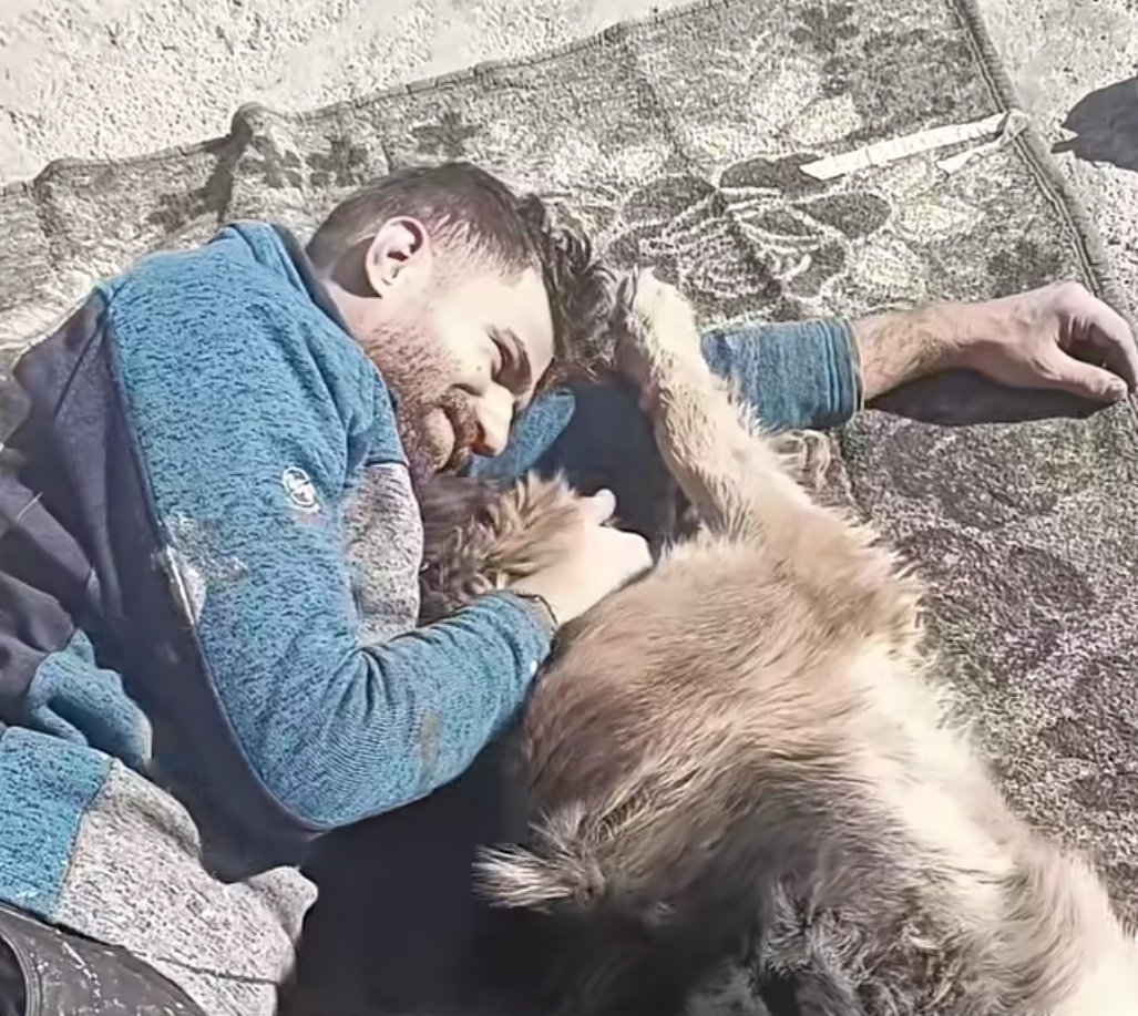 𝗜𝗹𝗶𝗮 tweet media