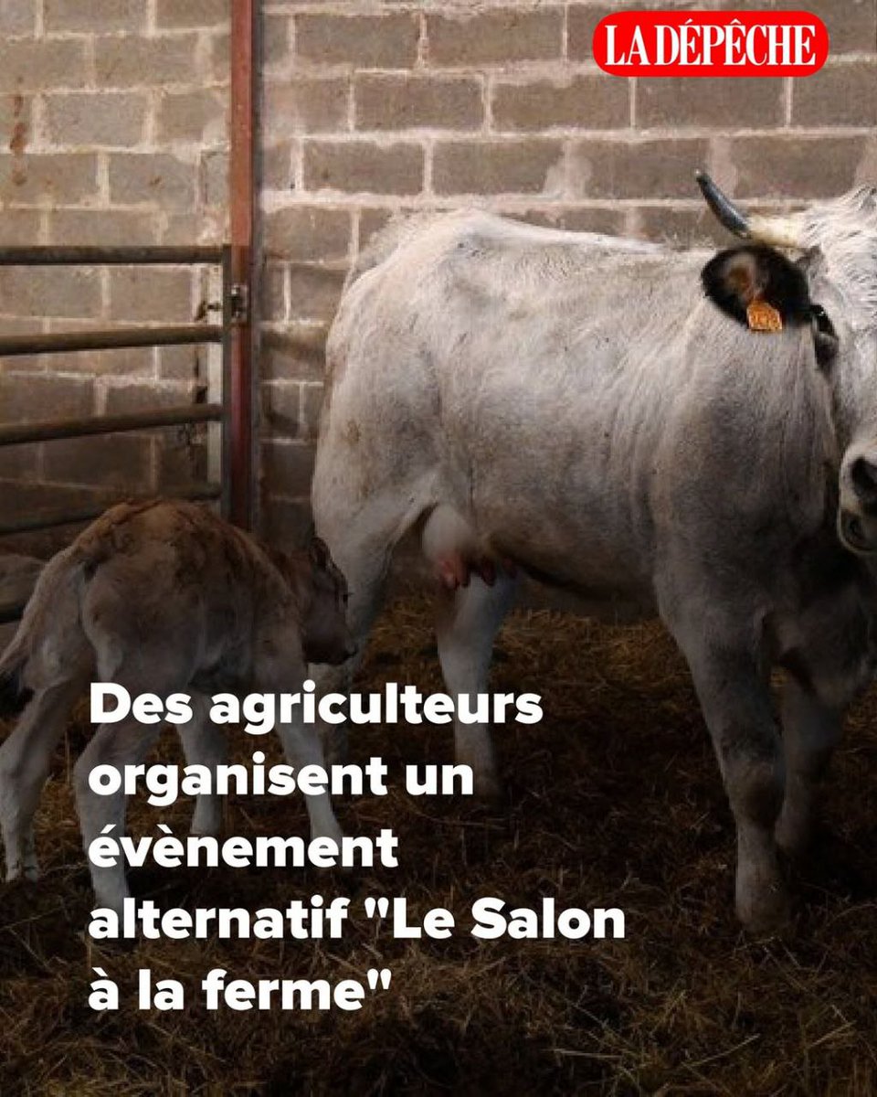 🟩 DOSSIER AGRICULTURE : BOYCOTT DU SALON DE L'AGRICULTURE ET ALTERNATIVE

Boycott du Salon de l’Agriculture 2026 : des agriculteurs organisent un évènement alternatif "Le Salon à la ferme".

La Confédération paysanne appelle au boycott du Salon international de l’agriculture