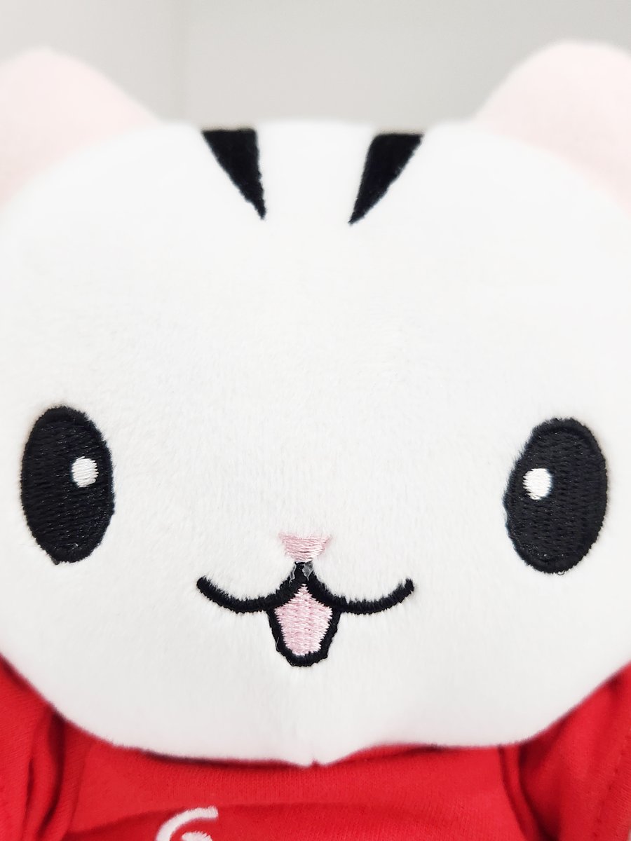 💗흉흉해진 탐라에 귀여움 불어넣기 ( •͈ᴗ-)ᓂ-ෆ
고양고양이 인형 키링 제작 업체 사장님께서 감사의 의미로 고양고양이 19cm 인형을 선물로 보내주셨어요!

답글로 #고양고양이 작성해 주시면 추첨을 통해 고양고양이 인형과 인형 키링을 증정드립니다!(3명)

🐈당첨자 발표 : 2월 19일