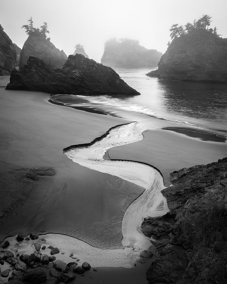 TheTwinPowers's tweet image. All waters, be they quiet and still or rushing streams, end up in the ocean.

.
#spirituality 
#WeAreOne #celebratelife 
#mindfulness #Quote 
@JETAR9